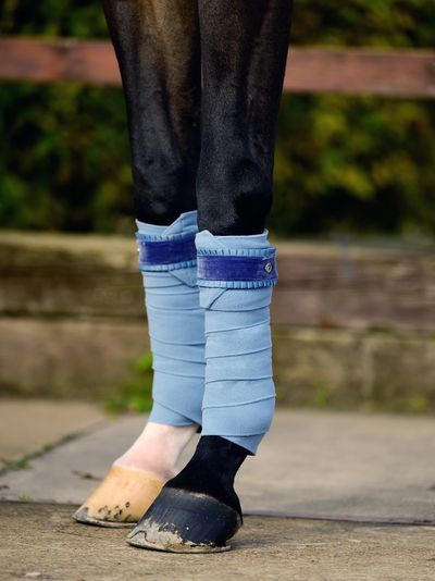 Light Blue Polos Ruffle PS of Sweden