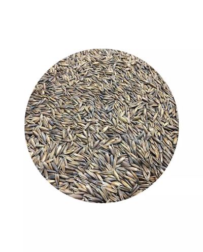 SAMPLE BlackOat (800g)