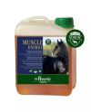 Muscle Energy Boost (2,5l producto diario)