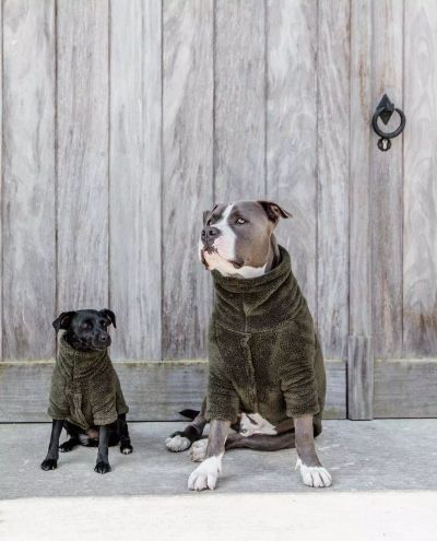 Teddy Fleece Dog Sweater Pine Green (S)