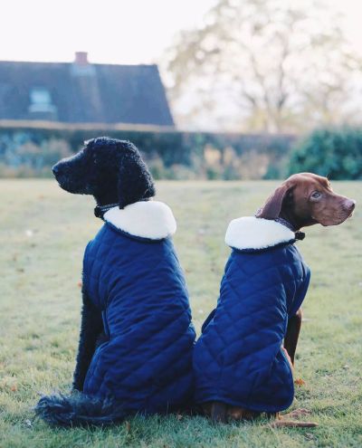 Dog Coat original navy 