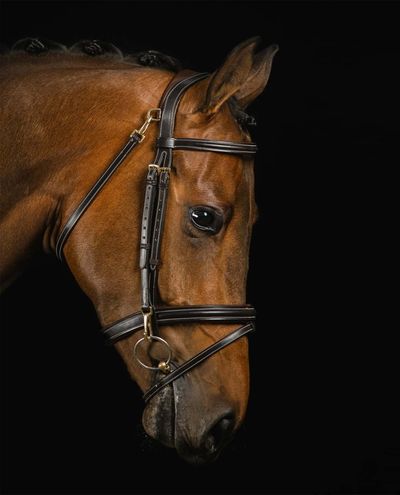 Ortega Bridle Dark Brown (Cob)