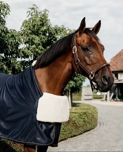 Pecho protección Caballo BIB pecho protección Piel de oveja Kentucky