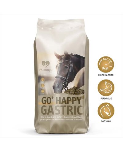 GO' Happy Gástrico (15kg) Amequ